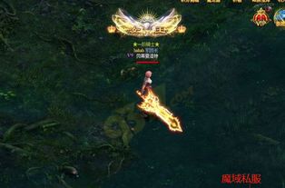 魔域sf如何在地图内刷怪